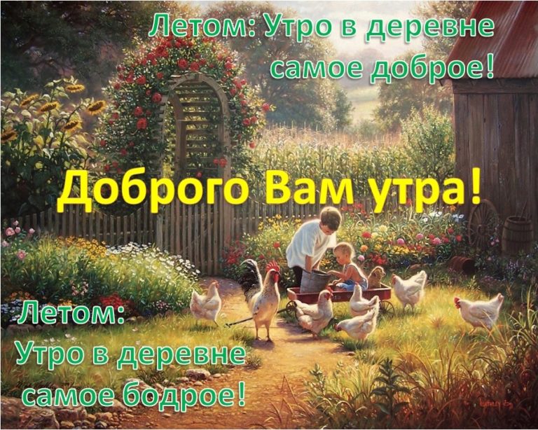 Доброе утро картинки деревня