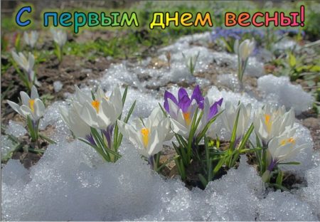 Картинки поздравления с первым днем весны - красивые открытки с надписями к 1 марта 2024