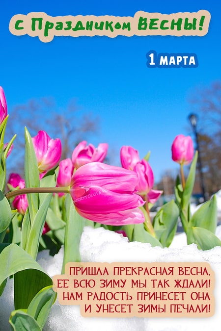 Картинки поздравления с первым днем весны - красивые открытки с надписями к 1 марта 2024