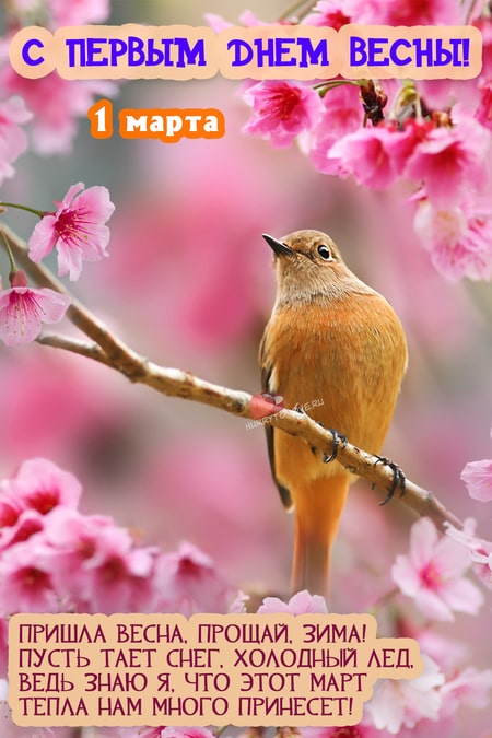 Картинки поздравления с первым днем весны — красивые открытки с надписями к 1 марта 2024