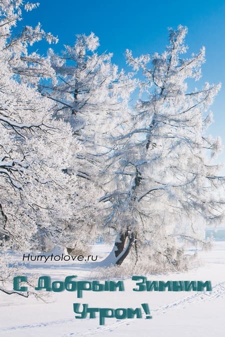 С добрым зимним утром - картинки с природой и зимними пейзажами
