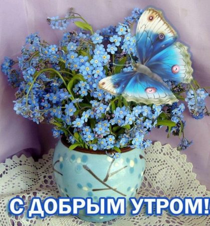 Доброе утро - картинки летние красивые цветы с бабочками