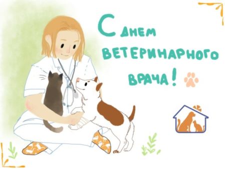 Картинки с днём ветеринара - прикольные поздравления к празднику на 31 августа 2024
