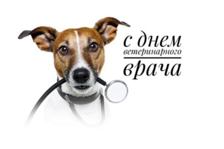 День ветеринарного работника России, картинка на праздник.