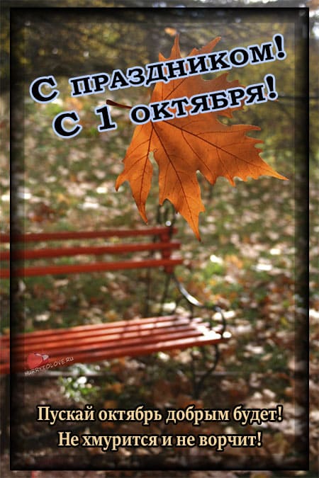 С первым днём октября - картинки прикольные с надписями "привет октябрь"