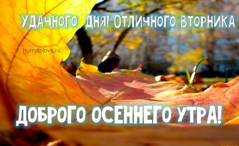 Отличный план для вторника песня