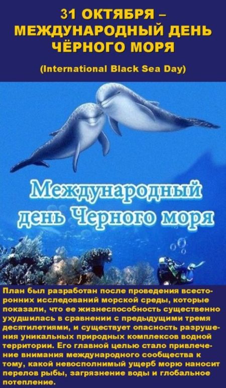 Международный день чёрного моря - картинки, поздравления с надписями на 31 октября 2023