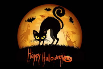 halloween0008 345x230 - Картинки на Хэллоуин - красивые и страшные открытки для праздника на 31 октября 2023