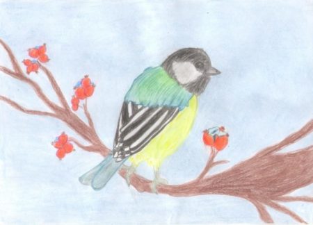 Синичкин день - картинки, рисунки для детей и прикольные раскраски на 12 ноября 2023