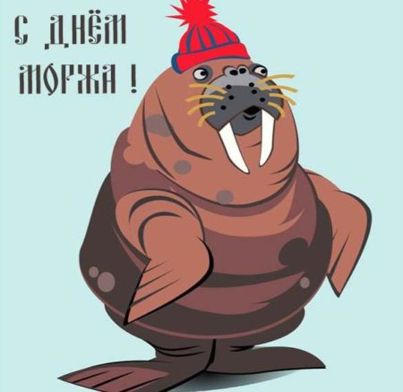 День моржа - картинки на 24 ноября 2023