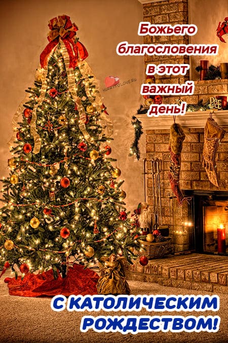 Католическое Рождество Христово - картинки, поздравления на 25 декабря 2023