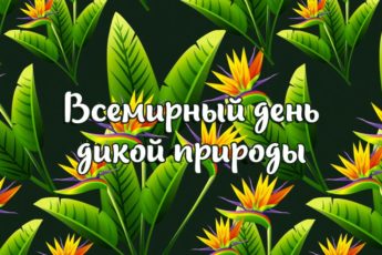 Всемирный день дикой природы, картинка поздравление на праздник.