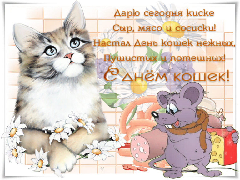 С днем кошек картинки