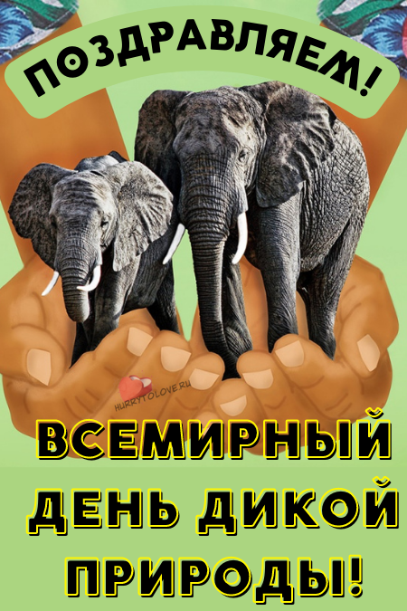 Всемирный день дикой природы - картинки с надписями на 3 марта