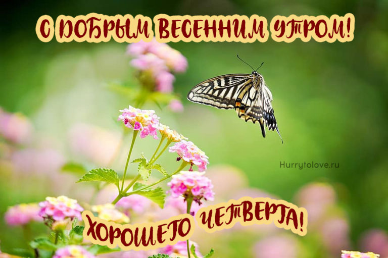 С весенним четвергом картинки с надписями. Доброе Весеннее утро четверга. С добрым весенним утром четверга.