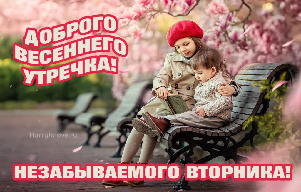 Доброе утро вторника весенние. Hurrytolove.