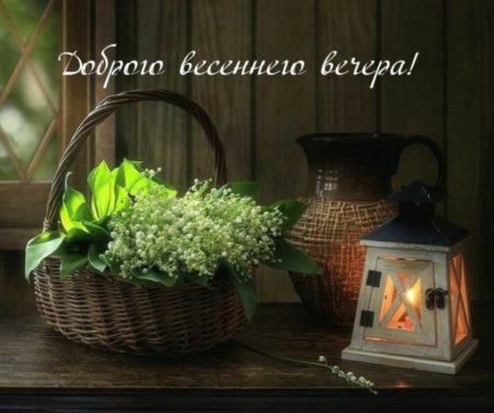 dobryy vecher neobychnye kartinki vesennie hurrytolove ru 4 scaled - Картинки весенние "Добрый вечер!" (108 шт.)