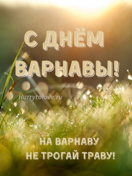 День Варнавы - картинки, поздравления на 24 июня 2024