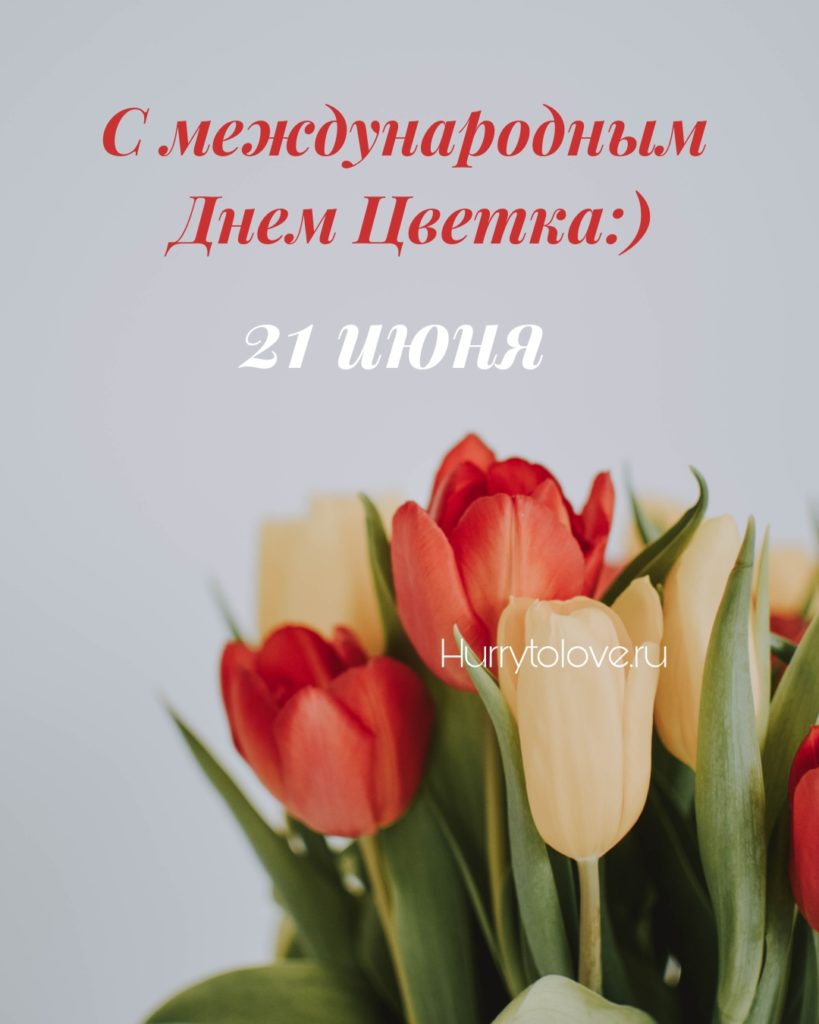 День цветка 21 июня картинки