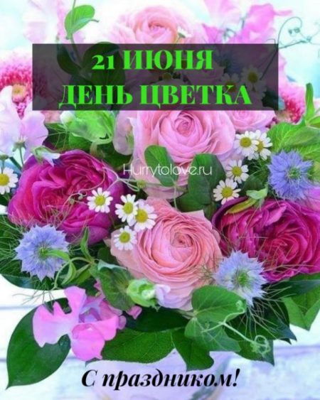 Международный День Цветка - картинки, поздравления на 21 июня 2024