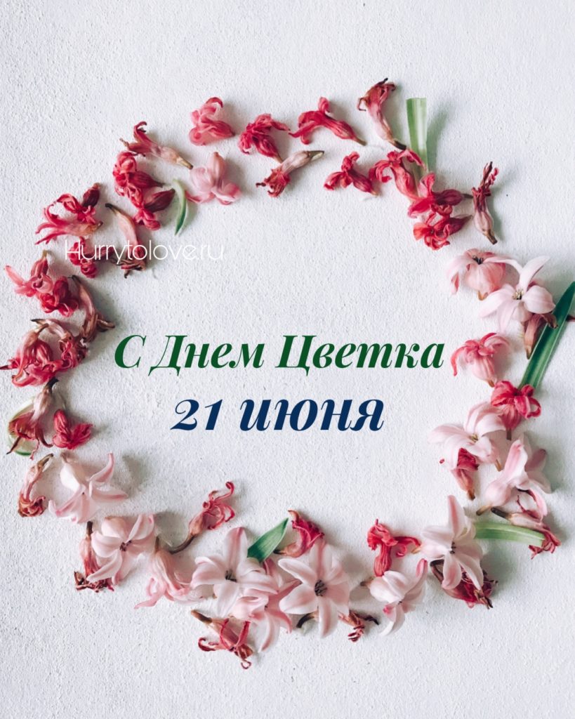 День цветка 21 июня картинки