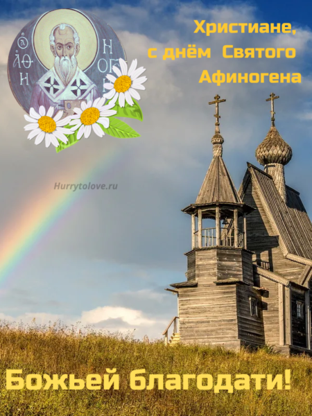 Финогеев день - картинки прикольные, поздравления к празднику на 29 июля 2022