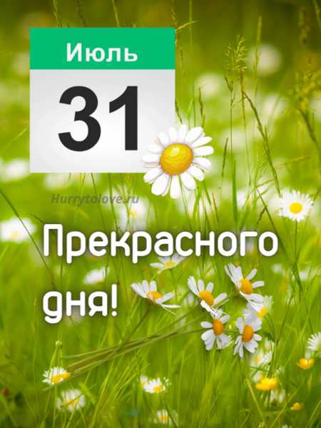 Последний день июля - картинки прикольные с надписями на 31 июля 2024