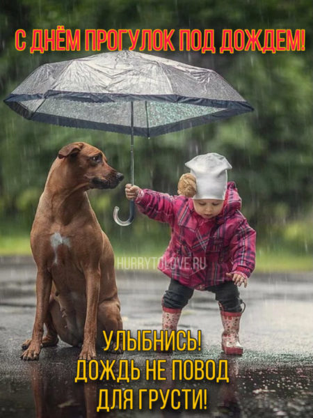 День прогулок под дождём - картинки, прикольные поздравления на 18 июля 2024
