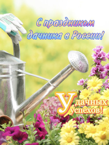 День дачника в России - картинки, прикольные поздравления на 23 июля 2024