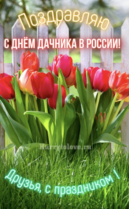День дачника в России - картинки, прикольные поздравления на 23 июля 2024