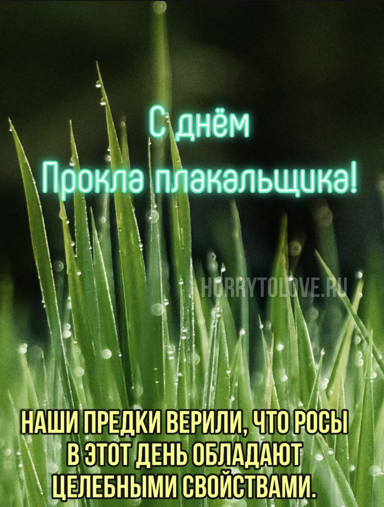 Прокл плакальщик 25 июля картинки. Прокл Плакальщик праздник. Прокл Плакальщик 25 июля. Проклов день.