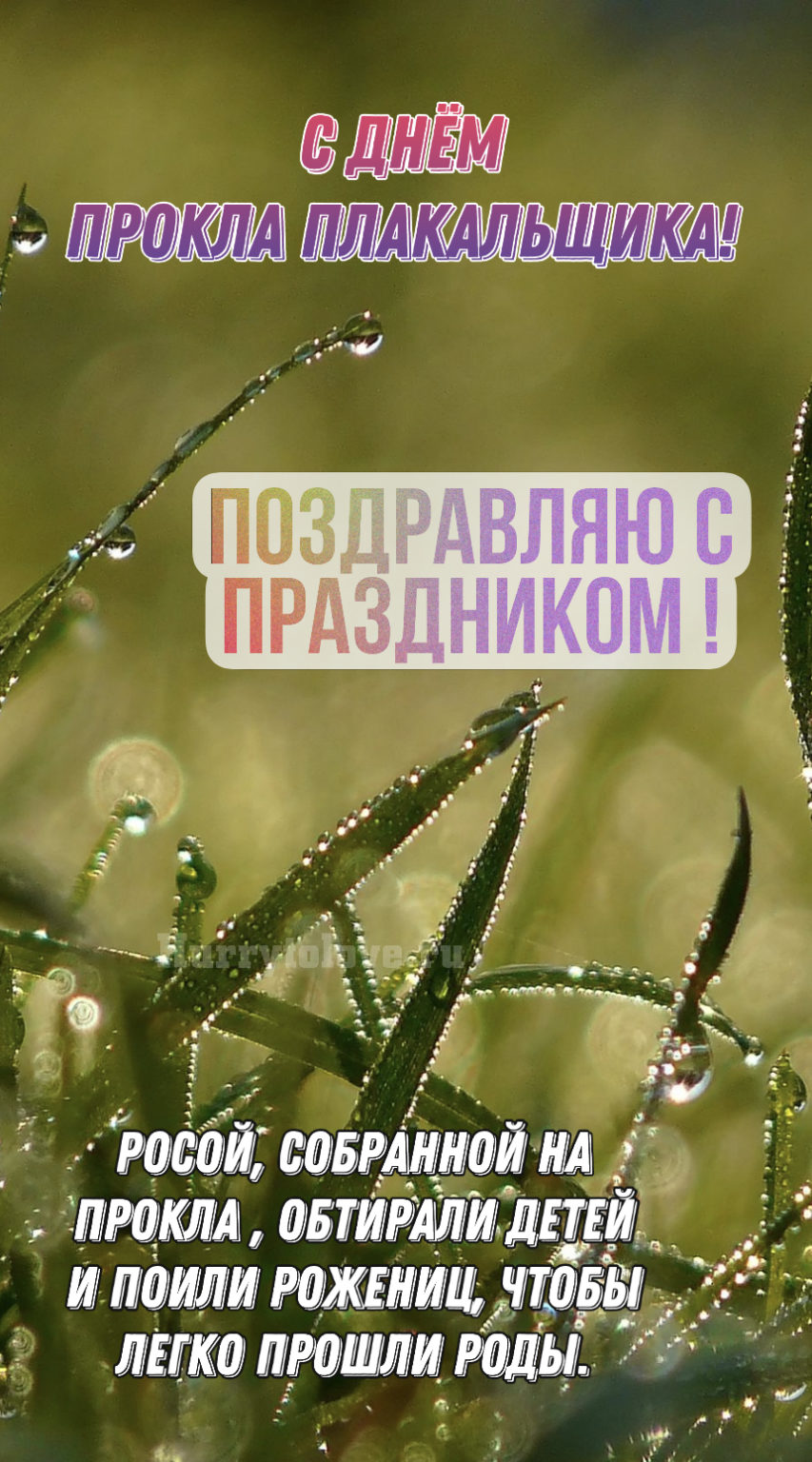 Прокл плакальщик 25 июля картинки. Прокл Плакальщик народный праздник. Прокл Плакальщик картинки. Прокл Плакальщик 25 июля.