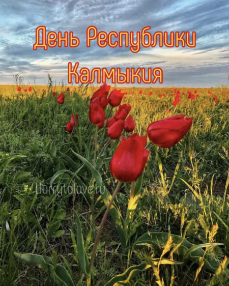 День Республики Калмыкия - картинки, поздравления на 5 июля 2024