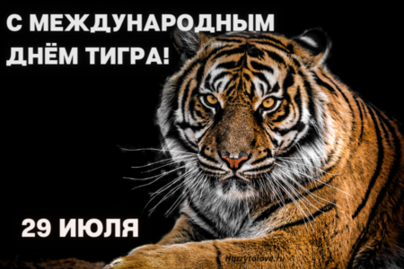 Международный день тигра, картинка поздравление.