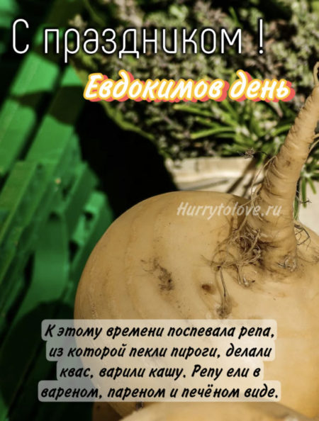Евдокимов день - картинки с надписями, поздравления на 13 августа 2024