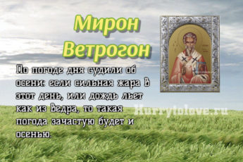 Мирон Ветрогон, картинка к народному празднику.