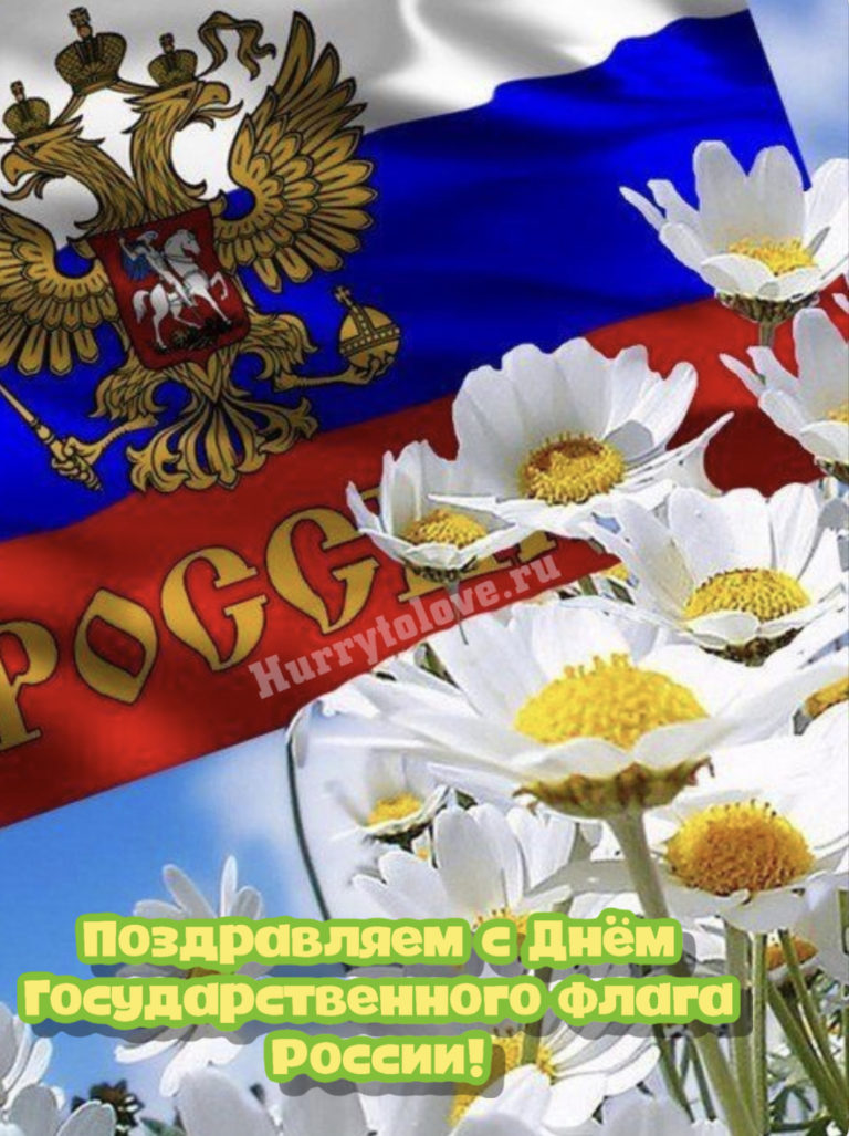 День независимости России картинки