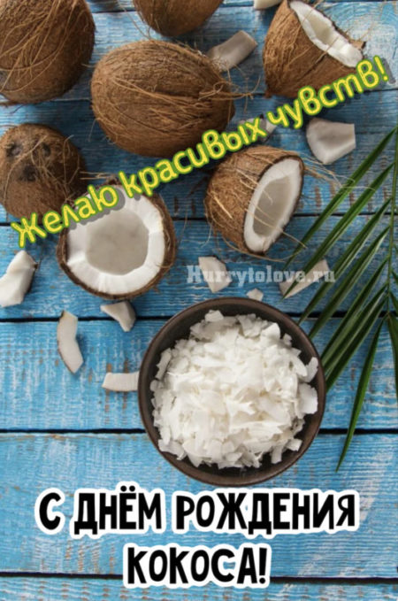 Всемирный день кокоса - картинки, поздравления на 2 сентября 2024