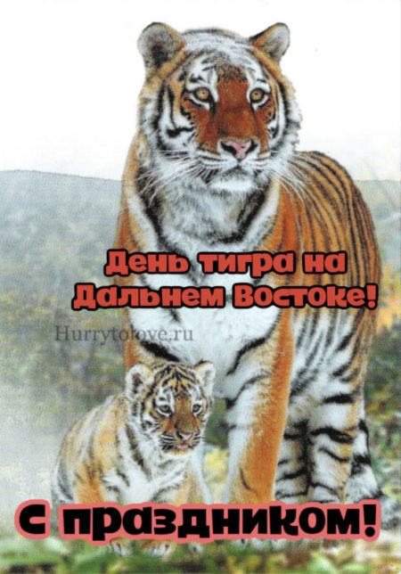 День тигра на Дальнем Востоке - картинки, поздравления на 22 сентября 2024