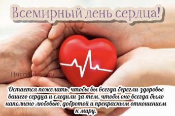 IMG 9041 345x230 - Всемирный день Сердца - картинки, поздравления на 29 сентября 2023