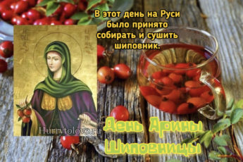IMG 9381 345x230 - Арина Шиповница - картинки, поздравления на 1 октября 2023
