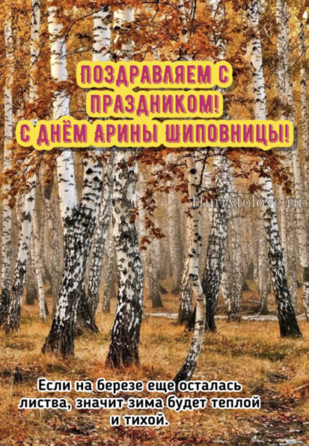 Арина Шиповница - картинки, поздравления на 1 октября 2023