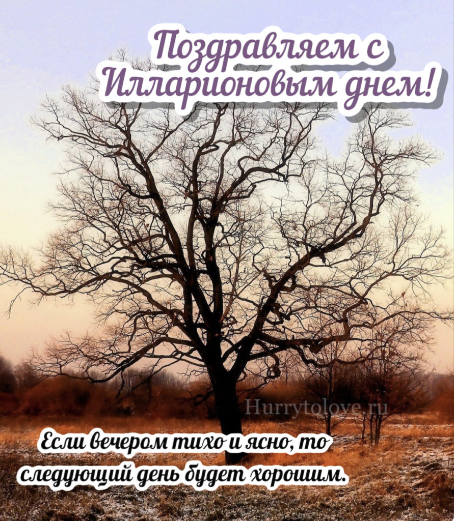 Три ноября. Илларионов день 3 ноября. Илларионов день. Илларионов день 3 ноября картинки. Илларионов день с праздником картинка.