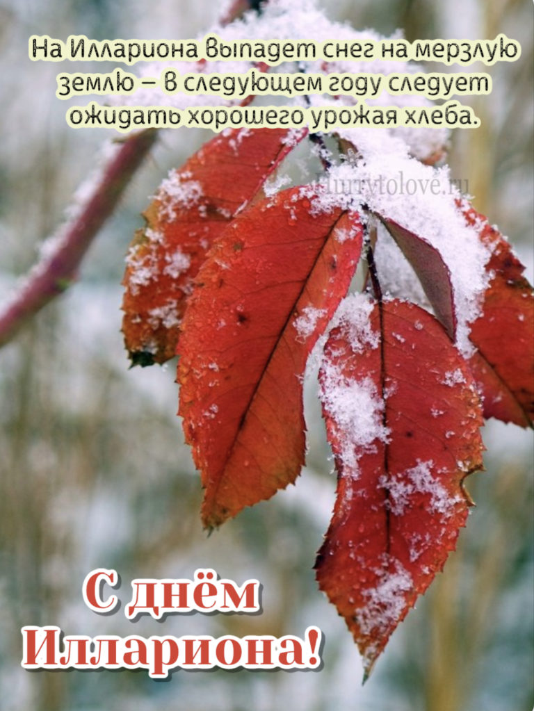 03 ноября. Илларионов день 3 ноября. Илларионов день 3 ноября картинки. Ноябрьские открытки. Ноябрьский день картинки.