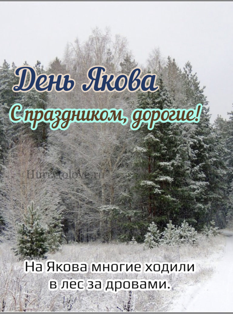 Народные приметы на ноябрь 2023. День Якова народный праздник. День Якова 5 ноября народный календарь. День Якова 5 ноября картинки. 5 Ноября народные приметы.