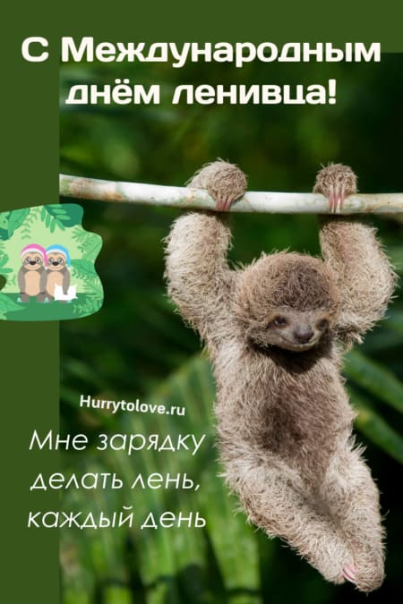 День ленивца - картинки прикольные с надписями на 20 октября 2023