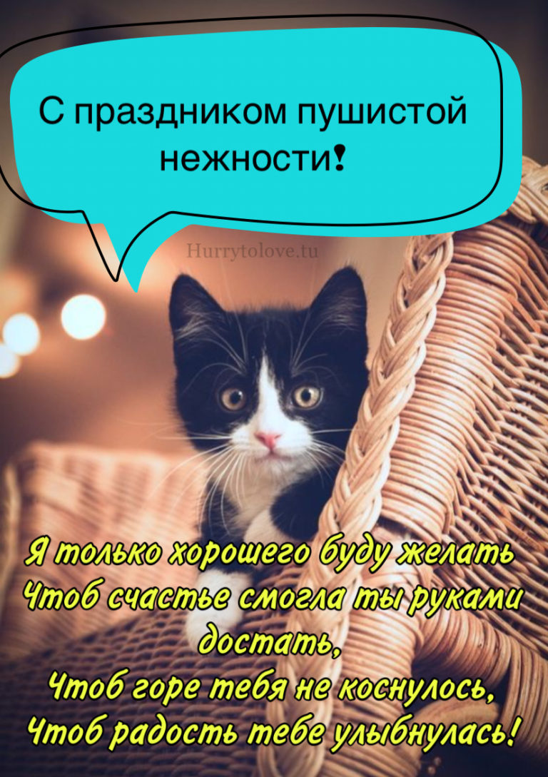 День пушистой нежности. День пушистой нежности открытки. День пушистой нежности 2 декабря. С днем пушистой нежности поздравления. Открытки 2 декабря день пушистой нежности.