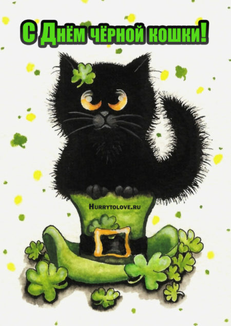 День чёрной кошки - картинки, прикольные поздравления на 17 ноября 2023