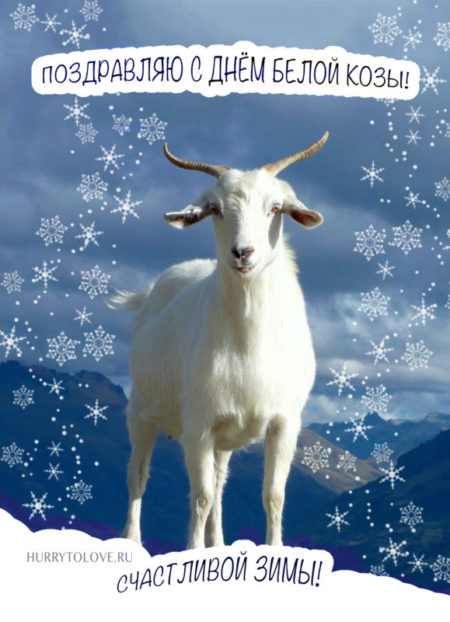 День белой козы - картинки, поздравления на 1 декабря 2023