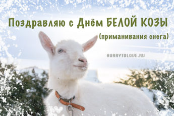 День белой козы, картинка на 1 декабря.
